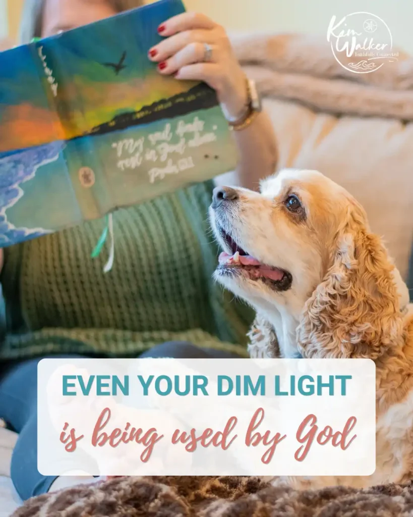 Dim light, A tan and white dog sits on a couch looking up at a person reading a colorful book. Text on the image says, Even your dim light is being used by God.
